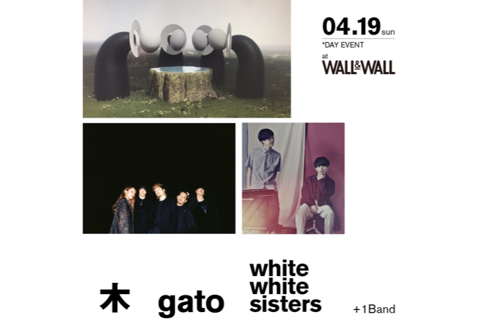木、gato、white white sisters＋1bandによる、ライブイベントが、WALL&WALLにて開催！